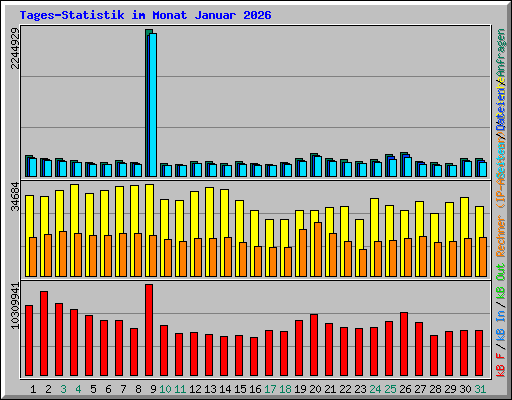 Tages-Statistik im Monat Januar 2026