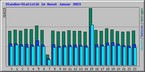 Stunden-Statistik im Monat Januar 2023