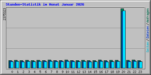 Stunden-Statistik im Monat Januar 2026